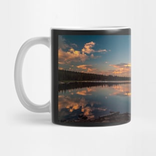 Magic Reflection Mug